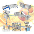 ORME Complete Small Bottled Lemon Juice Production Line: Machine Price and Juice Making Equipment1