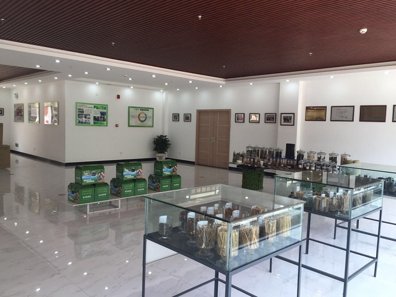 Henan Dianyan New EnergyTechnology Co. Ltd  