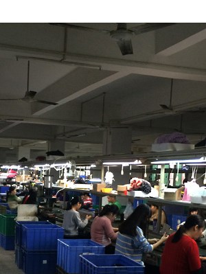 Dongguan City Leya Electronic Technology Co. Ltd