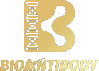 Bioantibody Biotechnology Co., Ltd.