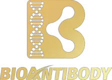 Bioantibody
