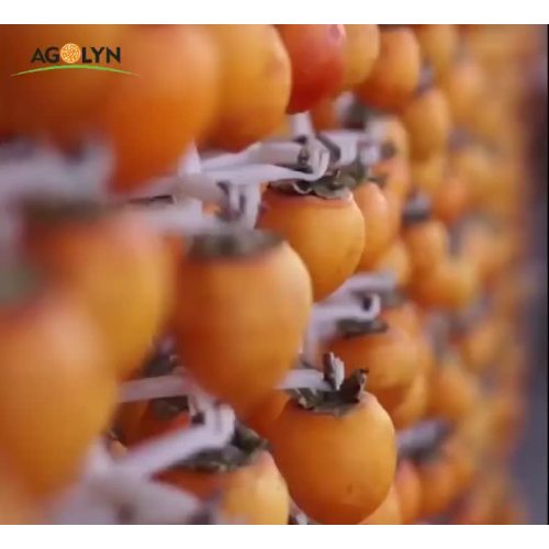 dried persimmon