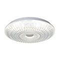 Color Changing Dimmable Smart LED Ceiling Light1