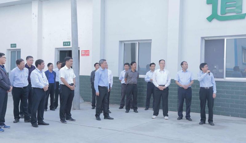 Lixian Spring Pharmaceutical Co., Ltd.