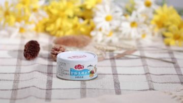 Canned White Meat Tuna in Water