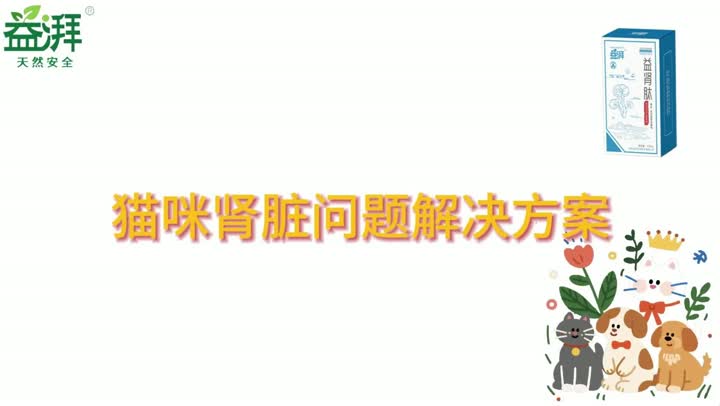 Suplementos nutricionales para el riñón del animal doméstico gato