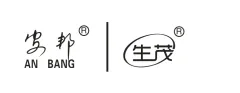 ANBANG、SHENGMAO