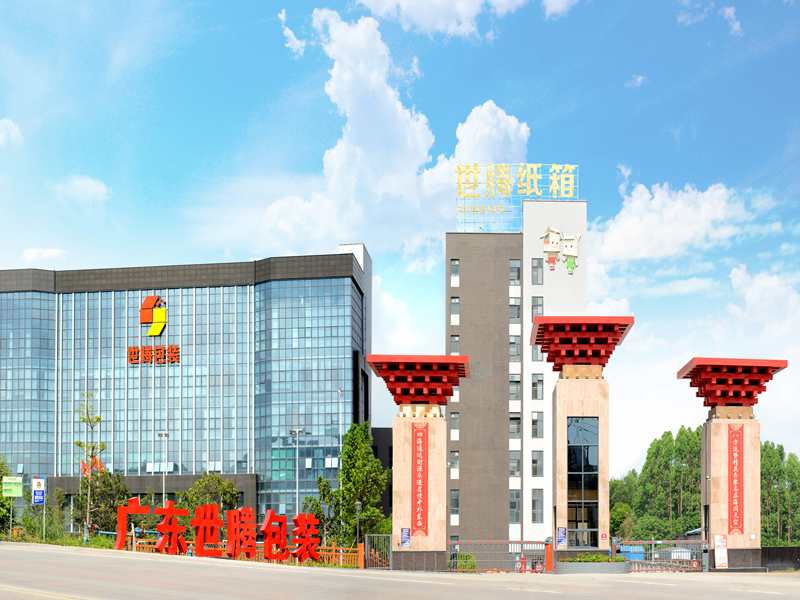 Guangdong Shiteng Wisdom Technology Co., Ltd.