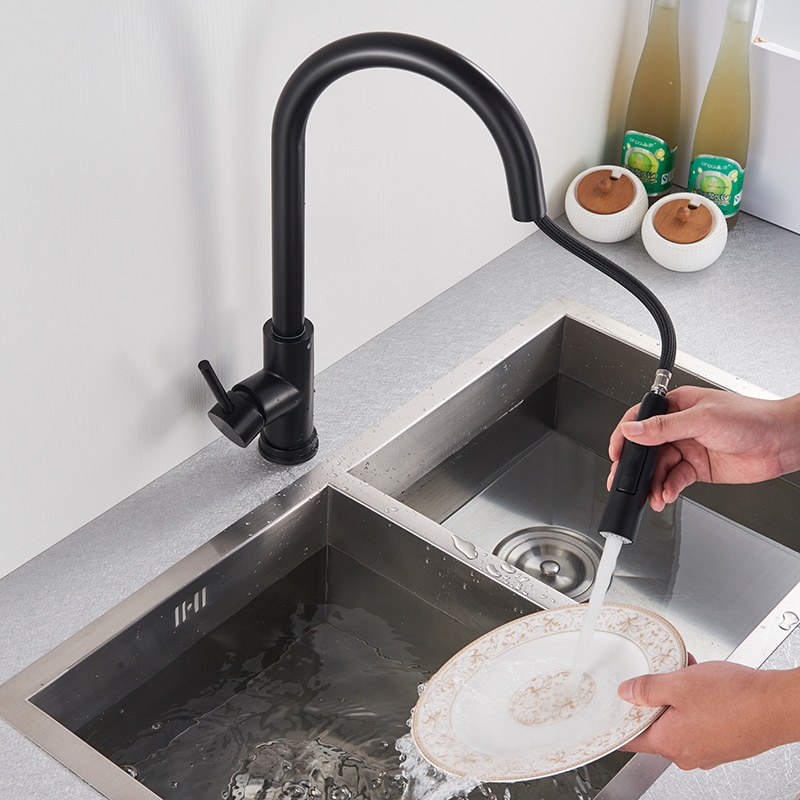 Black Dual Function Single Handle Kitchen Faucet 