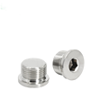 High Quality Stainless Steel Hex Socket Pipe Plugs with Collar: DIN 908 Standards Met1