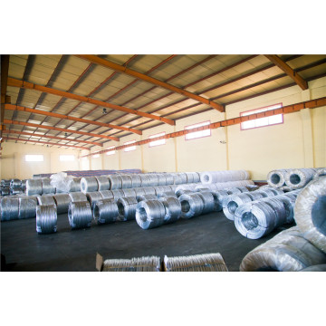 Top 10 Most Popular Chinese Hot Dipped Galvanized Iron Wire Brands