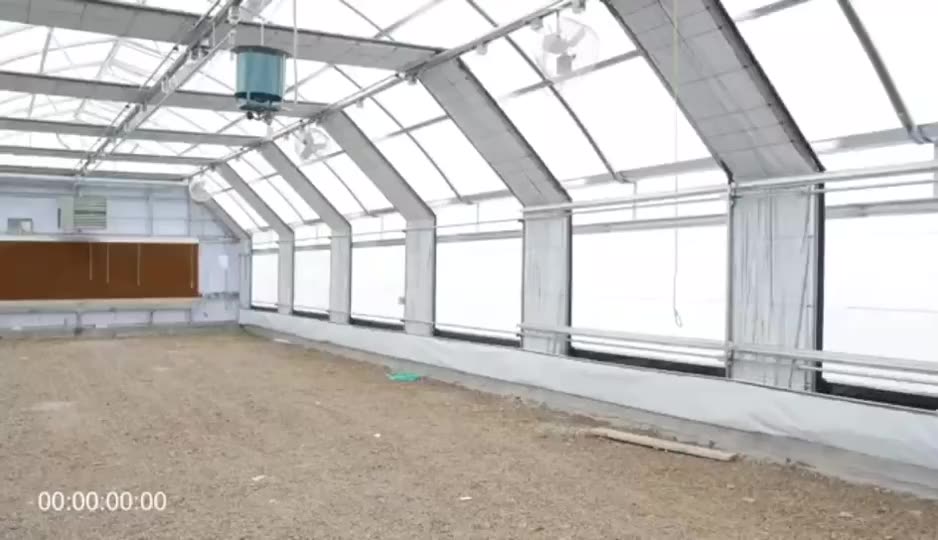 Poly Tunnel Greenhouse Agricultural Mushroom de croissance Fournisseur de serre meilleur prix1