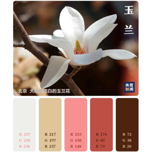 Spring in Color Card --- Chine