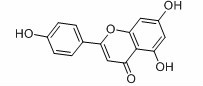 High Quality 1% Apigenin Apium Graveolens Extract Apigenin Powder