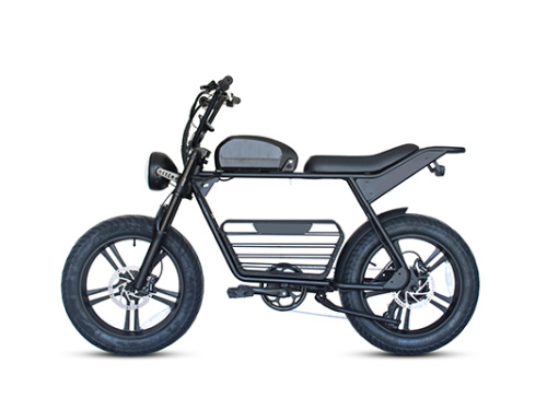 Fat Tire Electric Bikes