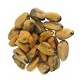 Frozen Wild Caught Cooked mussel meat in Vacuum Pack1