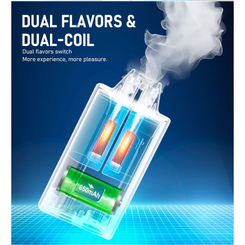 फाइबी vape geekbar25000puff