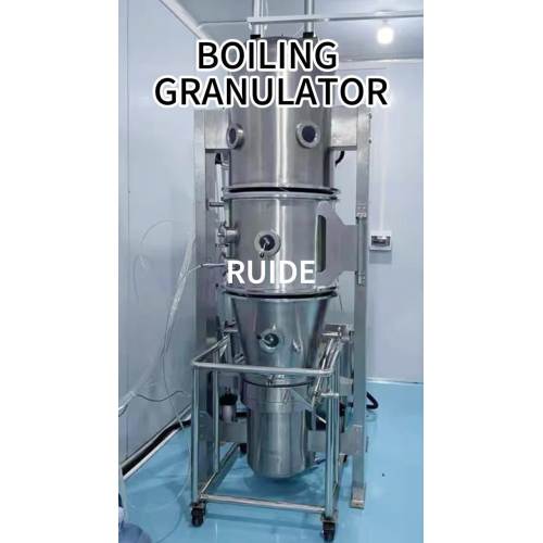 Boiling granulator