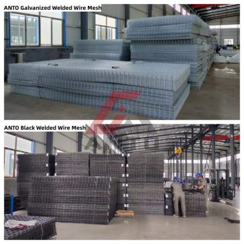 Welded Wire Mesh