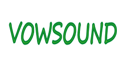 Dongguang Vowsound Electronics Co., Ltd.