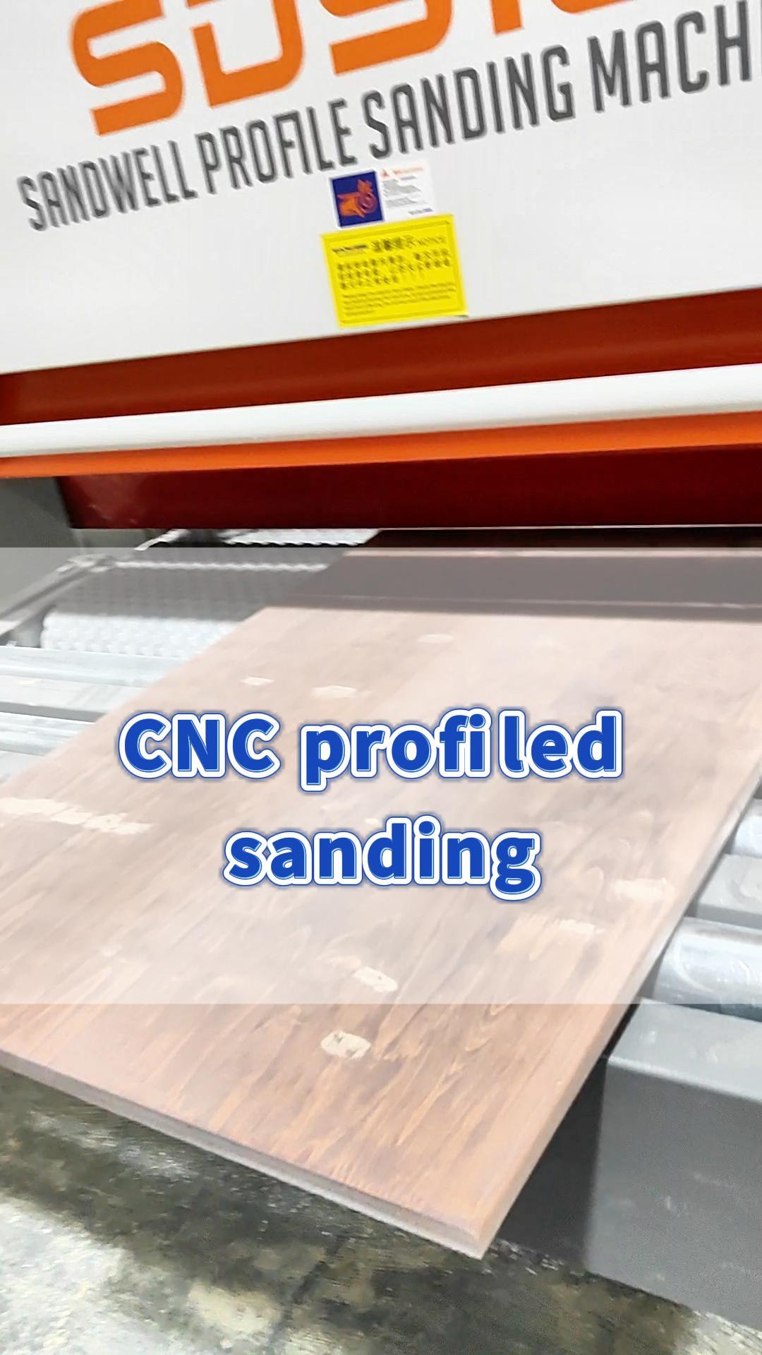 SDS13-Sanding of solid wood door panels