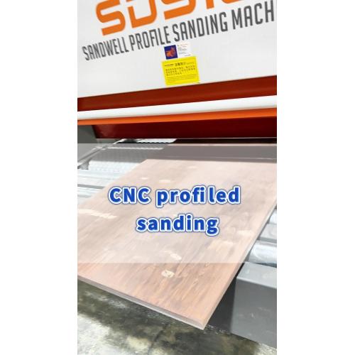 SDS13-Sanding of solid wood door panels