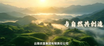 Yunnan State Farms Group Co., Ltd. — Co-creating with Nature.
