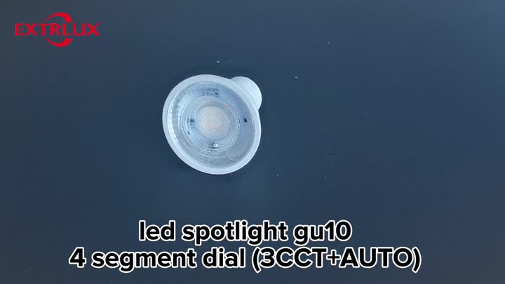 LED Spotlight 4-Segment Dial