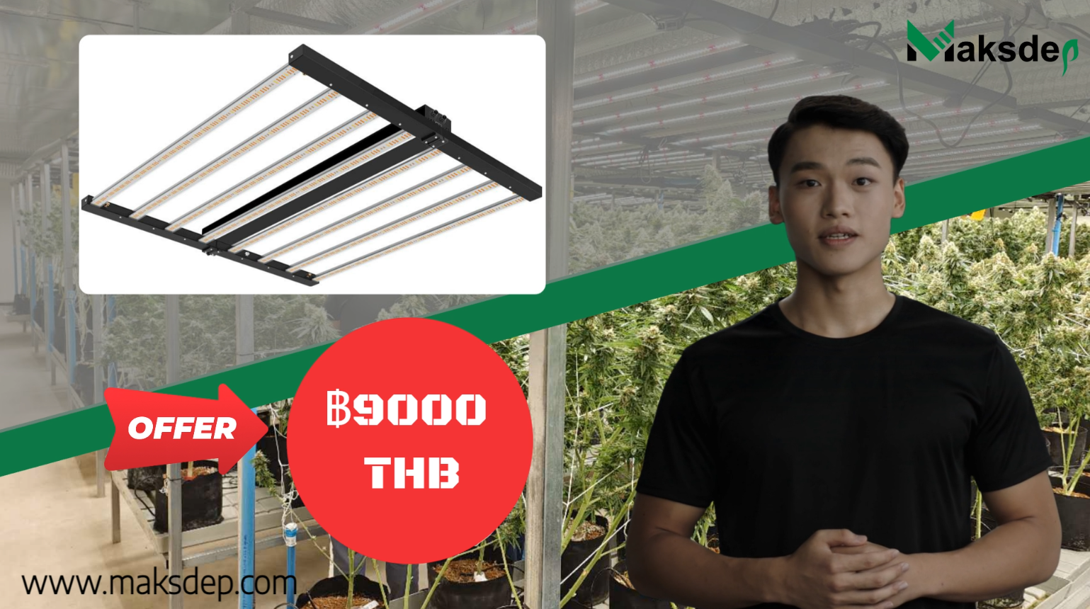 Heißer Verkauf 800W LED Wachsen in Thailand mit UV leicht