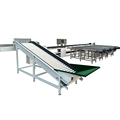 Caring Pear Weight Sorting Machine1