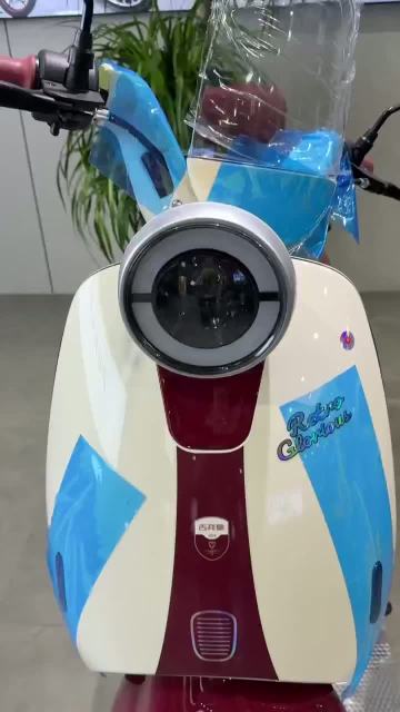 Convenient Street Legal Electric Scooter Model