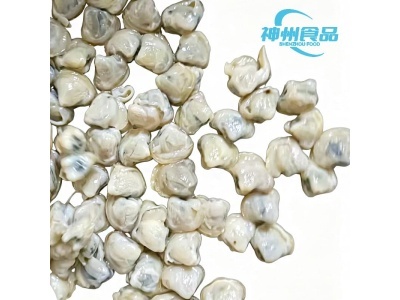 Huai'an Shenzhou Food Technology bringt hochwertiges, tiefgefrorenes Muschelfleisch für globale Käufer von Meeresfrüchten auf den Markt