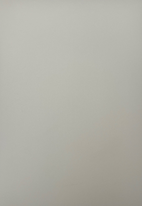Jiangsu Visionbon New Material Co., Ltd. Lancia un nuovo libro di esempio di prodotto