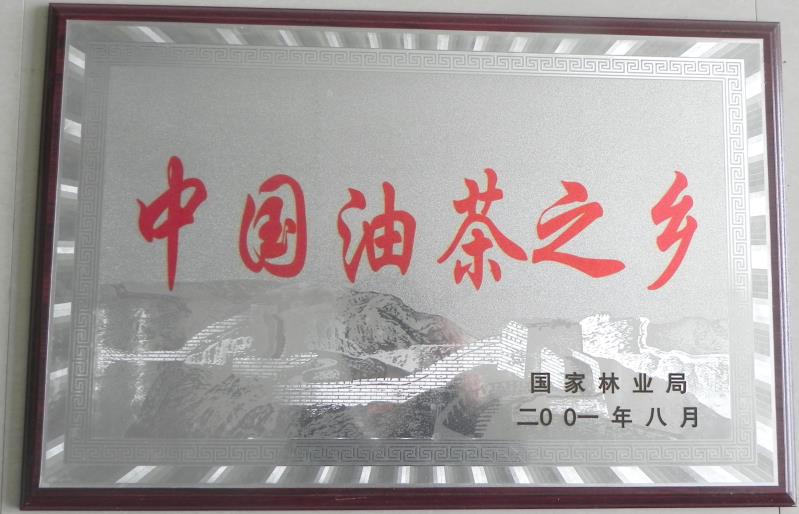 Home of Camellia oil in China