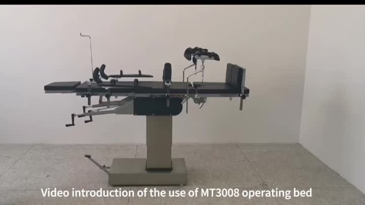 MT3008