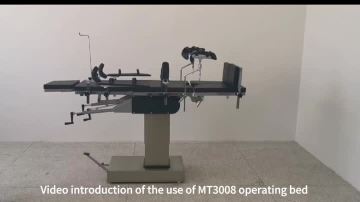 MT3008
