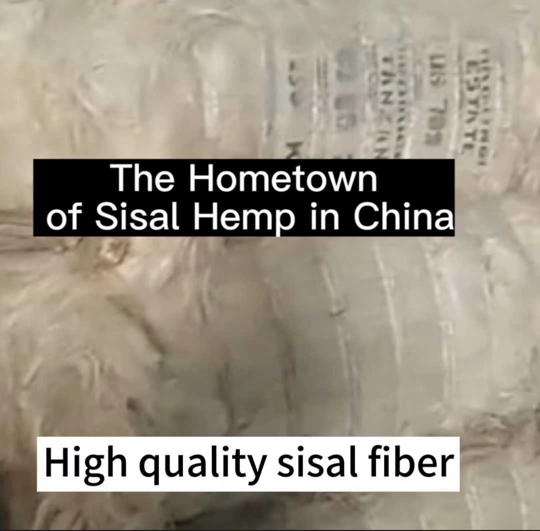 High quality sisal fibers