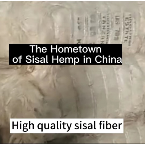 Fibres de sisal de haute qualité