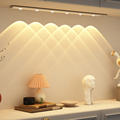 USB Rechargeable LED Motion Sensor Cabinet/Closet Lights - 20CM to 80CM1