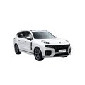 Hot Sale 2024 Lynk & Co Luxury SUVs: New Energy Vehicles and Hybrids (6/7 Seats)1