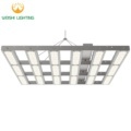High PPFD LED Grow Lights: 480W-1000W Full Spectrum Waterproof Dimmable Hydroponic Grow Lights1