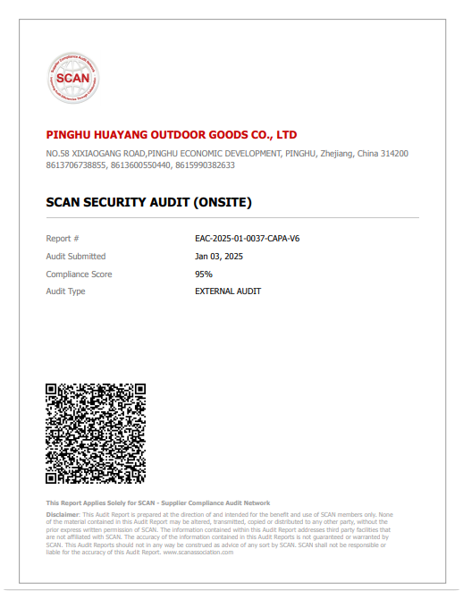 Audit Report: BSI Scan Counter-terrorism