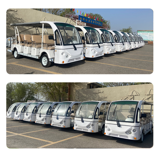 Customized sightseeing cars are in operation