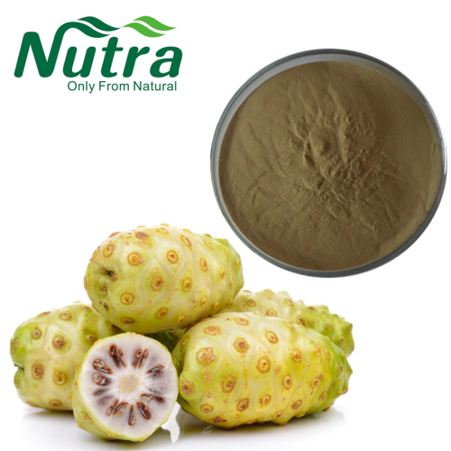 Organic Noni Fruit Powder