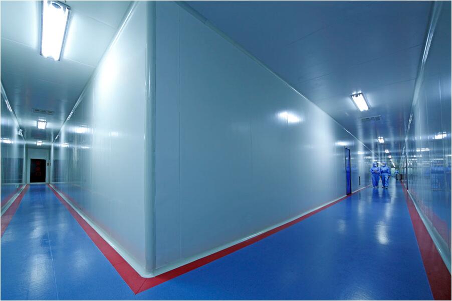 XINGCHANG COUNTY TOP HEALTH CAPSULE CO.,LTD