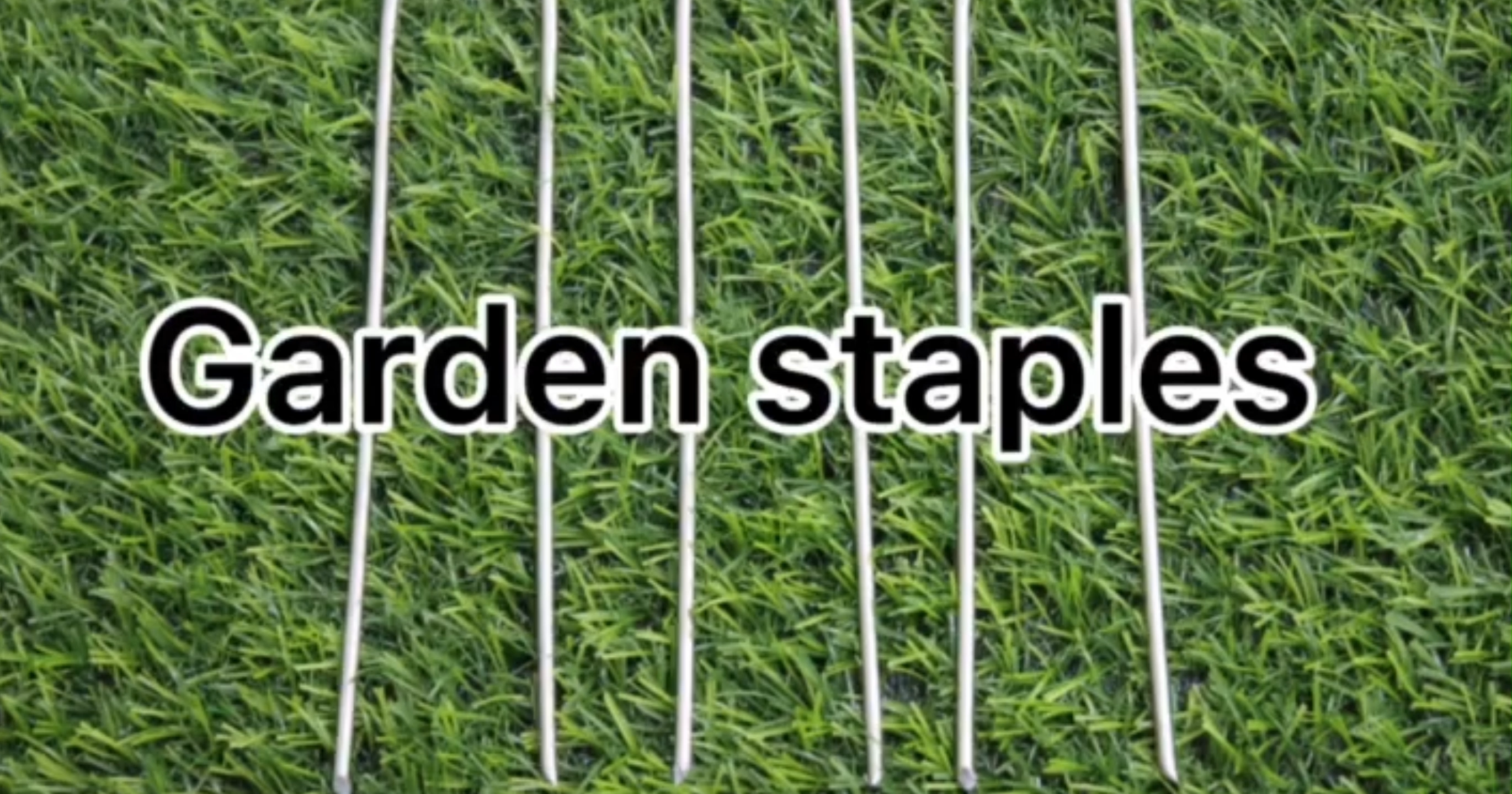 造園ファブリックu鋼型の爪の根拠の亜鉛めっき庭のステープルズ1