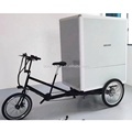 China Supplier: High-Quality 750W Electric Cargo Delivery Tricycle for European Transportation1