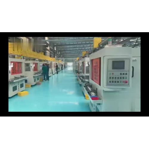 Şirket Show Video