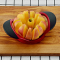 8 Blade Apple Slicer Cutter with Ergonomic Plastic Handle and Stainless Steel Blades1
