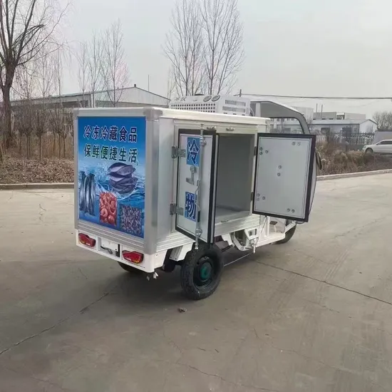 Kenderaan Peti Sejuk Elektrik Beroda Tiga untuk Penghantaran Ikan Kecil Segar1